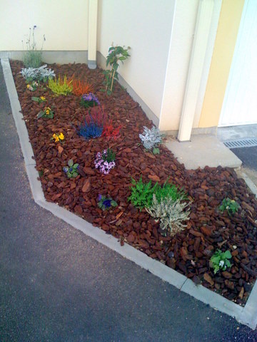 Mes essais de jardinage